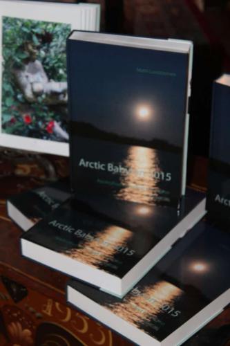 Matti Luostarinen  "Arctic Babylon 2015"