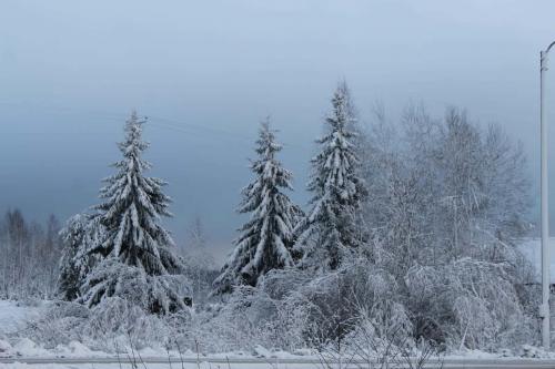 Cluster Art, Matti Luostarinen 2015: The first snow of the November forestry