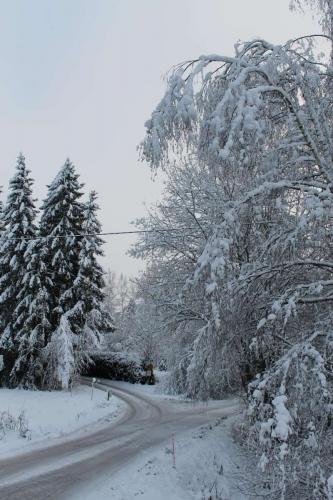 Cluster Art, Matti Luostarinen 2015: The first snow of the November forestry 