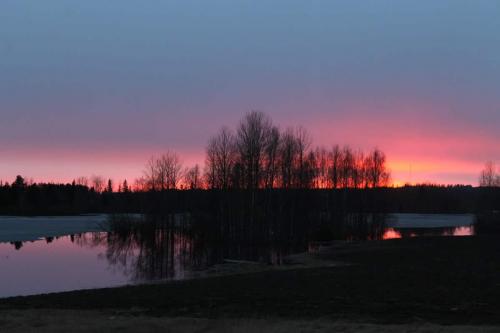 Hernejärvi, Lake Hernejärvi in the city of Iisalmi, Savo region, Finland