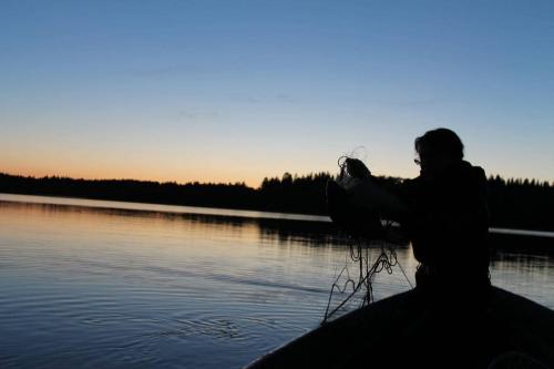 Cluster art, Matti Luostarinen in Cluster: Sun rise, Sun set..