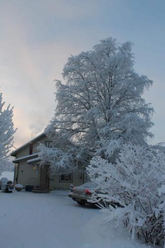 Hernejärvi, Vanharanta. Birth place, 19.12.2014, Mother 95-years old