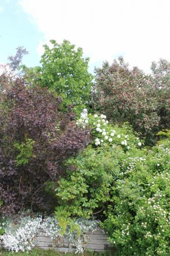 Cluster Art Garden, Layered, Plenteous, Rich diversity, see Matti Luostarinen "Ecological Cluster"...