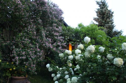 The Garden of Cluster Art in the beginning of June 2014, at midnight